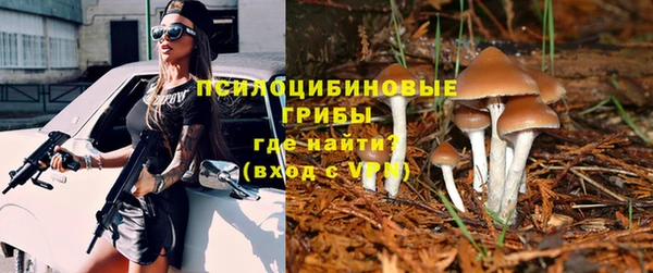 прущие крисы Алзамай