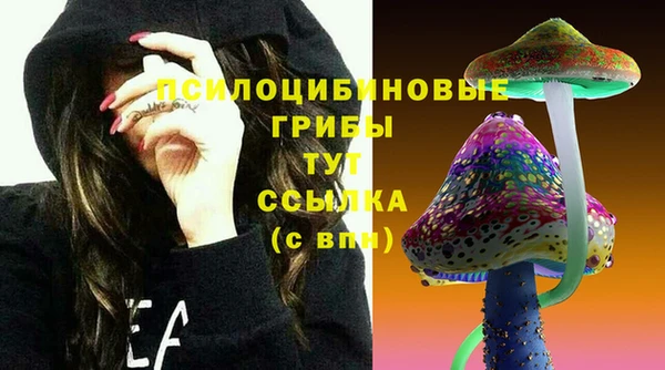 прущие крисы Алзамай