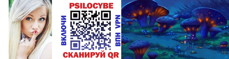 Галлюциногенные грибы Psilocybe  купить   Нефтекумск 